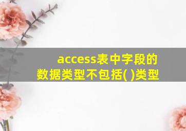 access表中字段的数据类型不包括( )类型